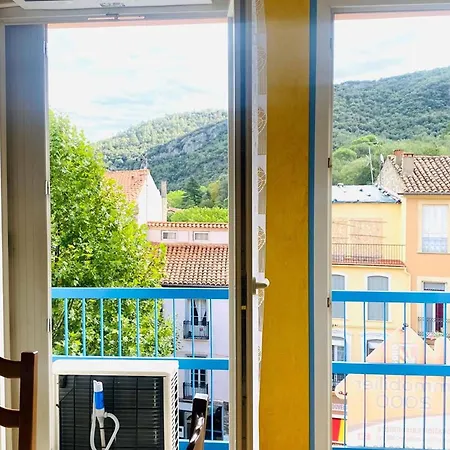 Confortable Avec Climatisation A Amelie-les-bains, Proche Des Thermes - Fr-1-703-20 * Amélie-les-Bains-Palalda